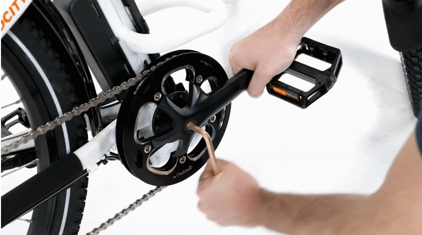 fischer e-bike display lcd 900 FUCARE Pokal Regal Sportler Wheel size can be Wähle dein Motiv:Dino